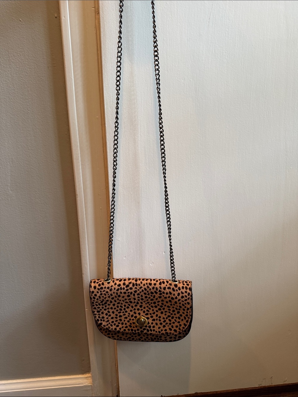 Leopard Print Crossbody Bag with Chain Strap